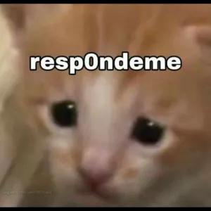 4PwbVj