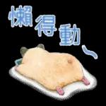 小仓鼠生活日常pack1