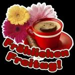 Große Sammlung von wöchentlichen Aufklebern