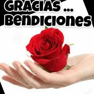 5qlW4q