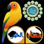 منشاء منشاء