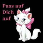 Marie kommt！！！