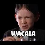 Wacala