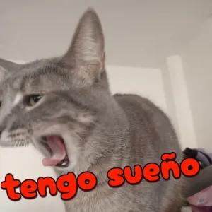 UkKay9