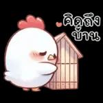 ลูกไก่น้อย ^^