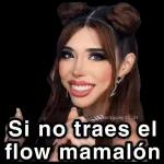 paraguayita_01
Si no
flow mamalón