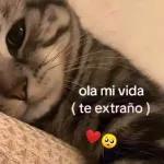 Love is in the air
