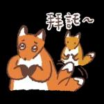 狐吉與他的朋友們來了