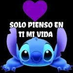 Solo pienso en ti mi vida