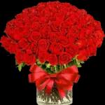 هههههههههههههه
هههههههه