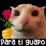 No me salgas con eso