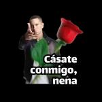 Cásate conmigo, nena