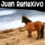 animales