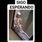 QJ Todo saldrá bien