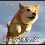 Qué se sentirá ser feo?