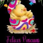 Felices Pascuas
