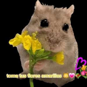 toma tus flores amarillas - getsticker.com