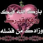 انت حبيب عمری وحياتي