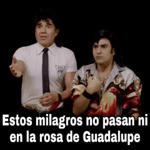 Estos milagros no pasan ni en la rosa de Guadalupe - getsticker.com