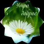 доброе утро 