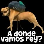 ¿Adónde vamos rey?