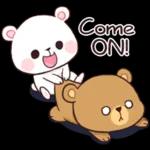 BEAR COUPLE