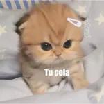 Oye eres el Amor de mi Vida, Te amo Corazón