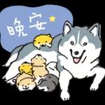 柴犬可愛使用貼圖合集