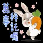 彩色铅笔兔兔 pack1