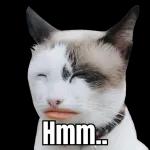 Que tengas un buen mediodía.