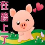 可愛豬 很想你