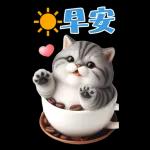 灰色虎斑小奶貓大字大貼圖