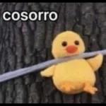 PA EL DESMADRE 