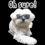 Hug me!🤗Enjoy your day!🥳