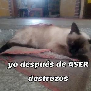 Y3WhrC