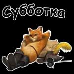 My Pack 61