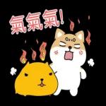 柴語錄 X 水豚君-