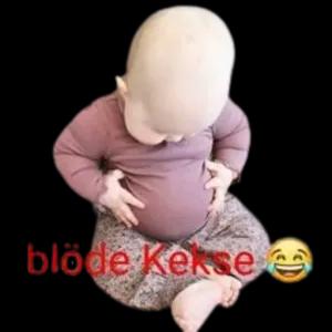 shihmf