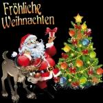 Weihnachtsmann🎄