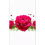 carolien 