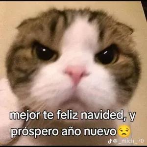 ffDJWf