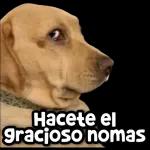 Al fin respondes