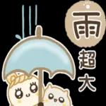 圓臉小美◎有貓咪的日常 2