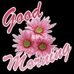 morning wish