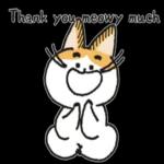 Do you have cat biscuits?