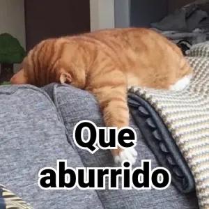xRlRHH