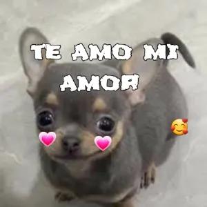 TE AMO MI AMOR - getsticker.com