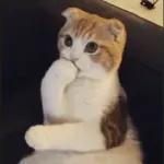 Baeeee💗💗💓💓💕💕