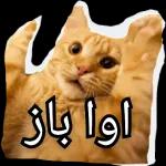 نسانهاییصباح الخ