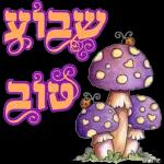סוכות